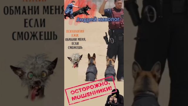 Хоббиты и инвестиции кольца ! смотреть онлайн