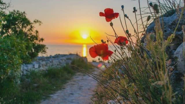 Всё от Бога смотреть онлайн