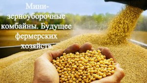 Мини-зерноуборочные комбайны. Будущее фермерских хозяйств