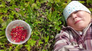 Едем за земляникой // торговля на трассе//