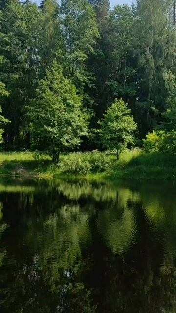 (39) Библия Евангелие от Иоанна глава 9 стих 17-28 смотреть онлайн