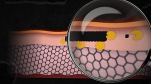 Твои татуировки - Олег Боков