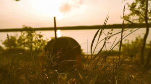 На природу с палатками. Саратовская область. Волга. Рыбалка. Еда на костре. Баня. Песни под гитару.