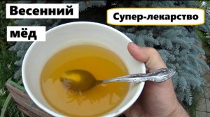 Весенний мёд - лекарство от всех болезней.
