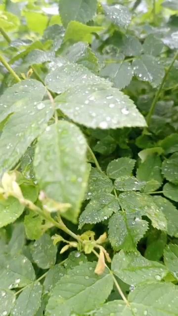 хорошего человека узнать легко...