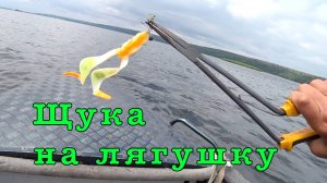 СУПЕР приманка для ЩУКИ. Но это не точно.