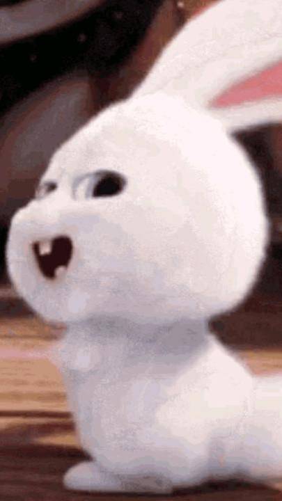 Зайчики из GIF на WhatsApp!? смотреть онлайн