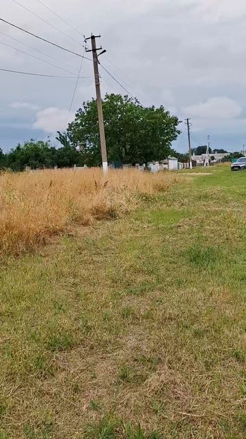 с. Глазовка , ул. Стратейчука