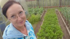 Видео привет с 6 соток 19 июня 2025 года.