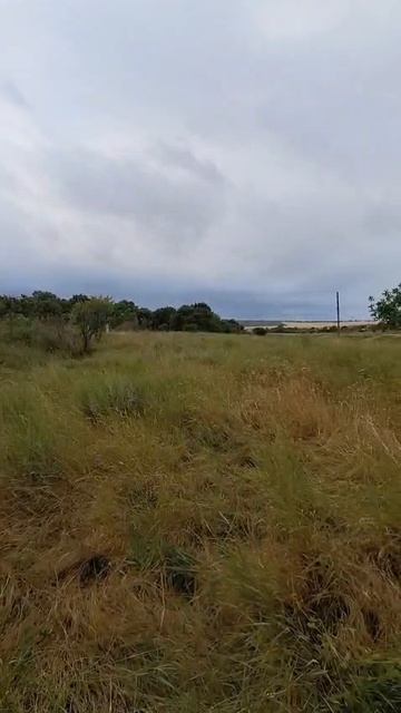 с. Глазовка, ул. Колхозная