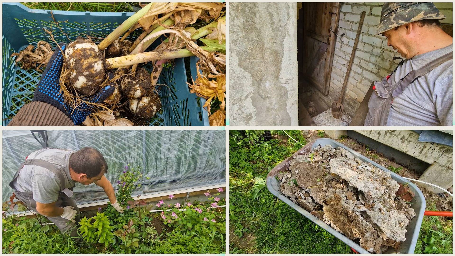 СРОЧНО выкапываю РЯБЧИКИ и аквилегии. Собрал ЗАСТЫВШИЙ ЦЕМЕНТ. Ремонт крыльца смотреть онлайн