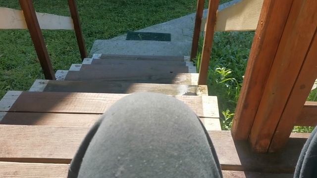 СОЧИ ГОРНОЕ ЛОО УТРО 20.06.2025 смотреть онлайн