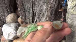 Карелия. По реке Янгозёрке, озеру Селецкому и реке Лужме.