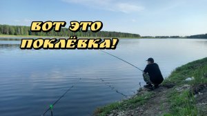 ЛОВЛЯ САЗАНА. РЫБАЛКА НА РЕКЕ БЕЛАЯ. ИРКУТСКАЯ ОБЛАСТЬ.