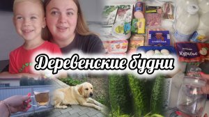 ВЛОГ🌻РАСПАКОВКА ИЗ ЧИЖИКА🛍ЗАКАЗ ОЗОН📦МАЛОСОЛЬНЫЕ ОГУРЧИКИ🥒