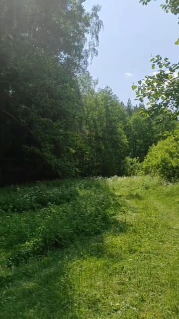 Библия псалом 90 Давида на русском смотреть онлайн