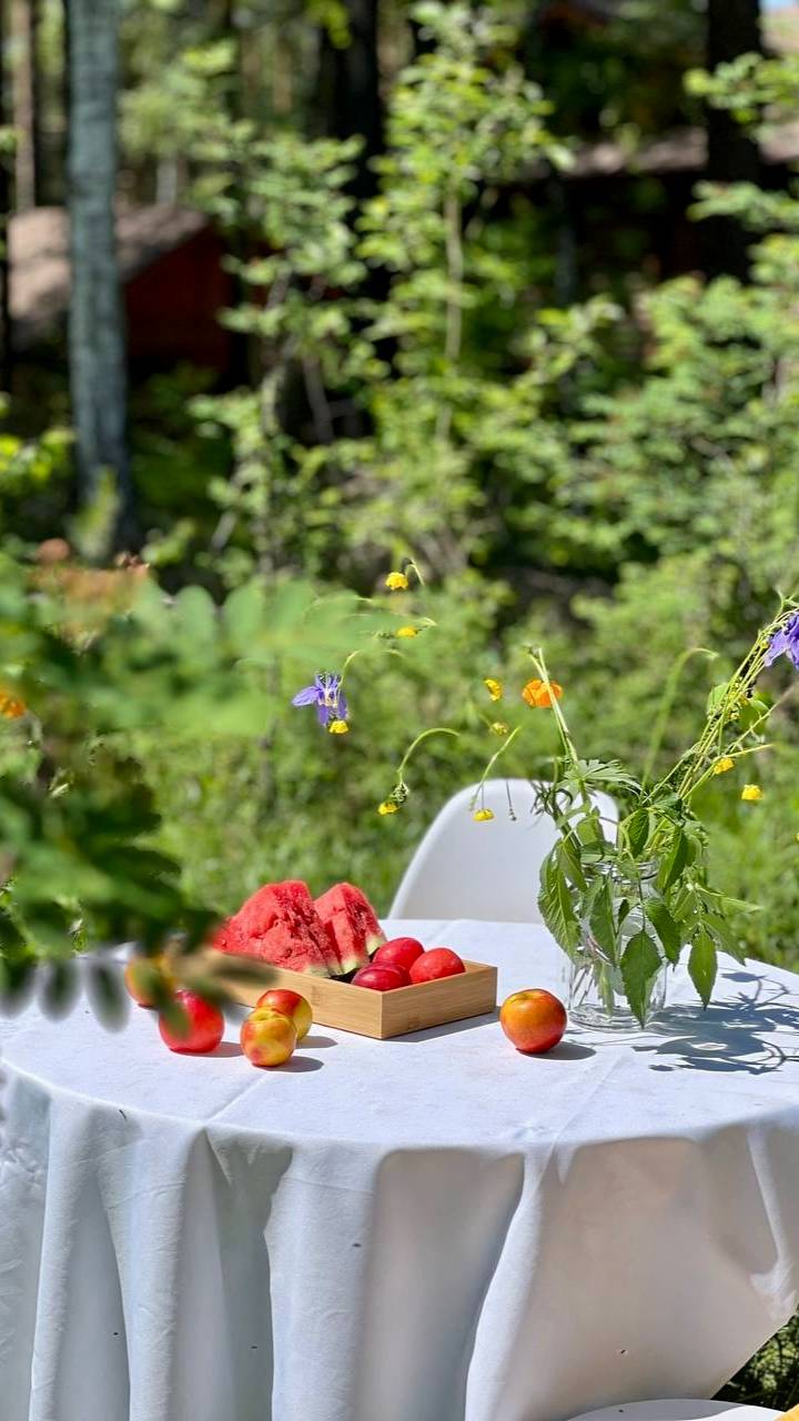 ДНТ Хрустальное