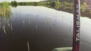 ВЕЧЕРНЯЯ ЗОРЬКА С БОКОВЫМ КИВКОМ. ПЕРВЫЕ ЛИНИ СЕЗОНА 2025.