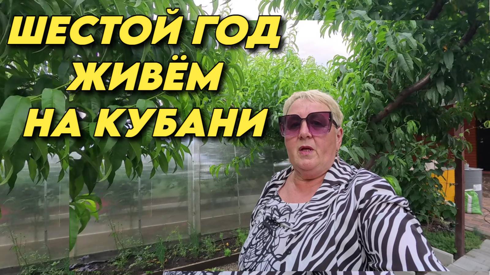 921 Жизнь семьи после переезда на юг/Интересные моменты из нашей жизни/Купили дом на Кубани смотреть онлайн