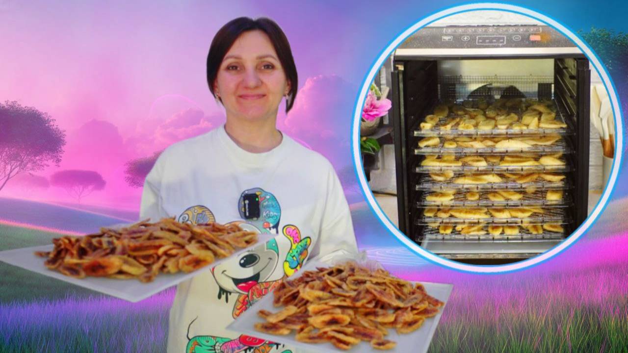 GARLYN D-12: ОБЗОР ДЕГИДРАТОРА + Рецепты: Йогурт, Вяленая индейка, Бананы в глазури. Мастер класс! смотреть онлайн