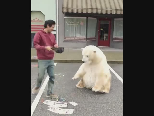 ПРИКОЛЫ НА ЛЮБОЙ ВКУС: СМЕШНЫЕ ВИДЕО ДЛЯ ВСЕХ смотреть онлайн