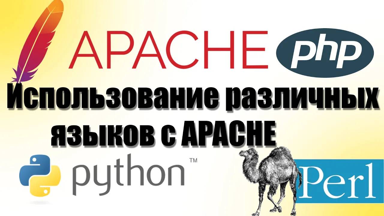 Запуск скриптов Python, Bash, Perl через Apache CGI (Common Gateway Interface) смотреть онлайн