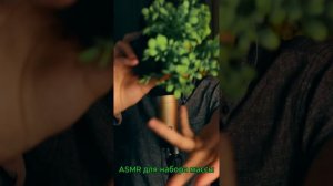 ASMR настрой сборник 8