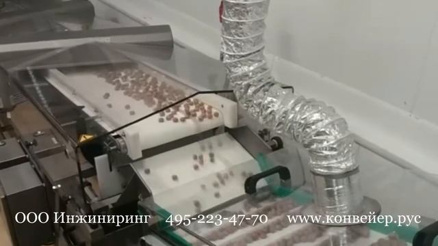 Ленточный конвейер для кондитерских изделий. Производство, монтаж и запуск конвейерных систем.