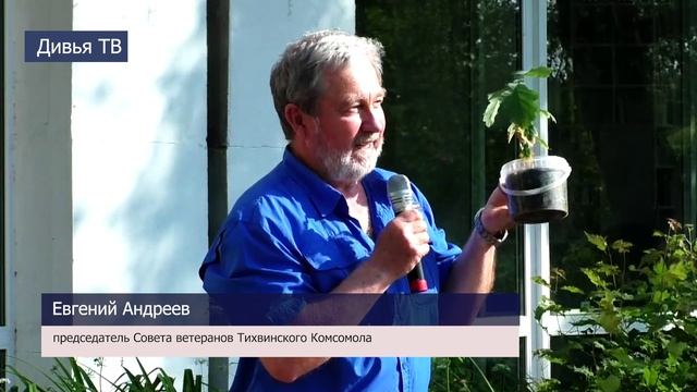 В Тихвине появились дубовые аллеи смотреть онлайн