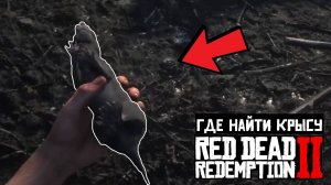 Где найти КРЫСУ в RDR2 | Превосходная тушка крысы