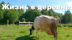 Новости деревенской недели" Дела на "Объекте,  что происходит в хозяйстве / Жизнь в деревне