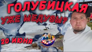 ГОЛУБИЦКАЯ🔥 20 ИЮНЯ. Что уже медузы?🤦♂️😭Обстановка на море. #голубицкая #азовскоеморе #смешалкины