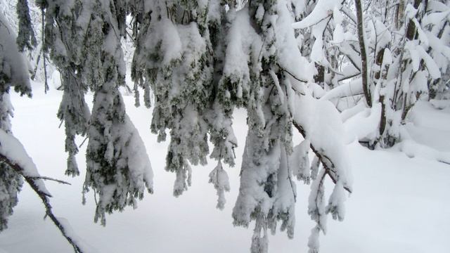 2020-08-06 Каменный город. Пермский край. смотреть онлайн