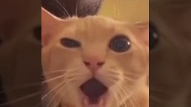 мило смотреть онлайн