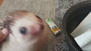 блоп топ 1 серия