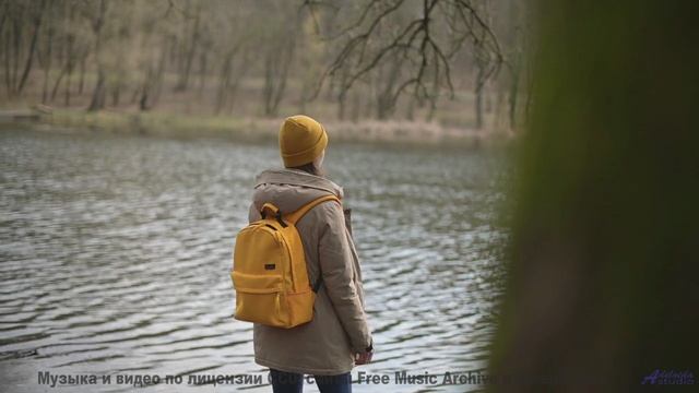 Леса становятся личным кино под эти ноты - Crawling For Freedom -- Famous Logs In History -- Live At