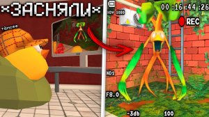 😨 Засняли ЛЕШЕГО на Камеру в Чикен Ган! Тёмофф Chicken Gun мистика