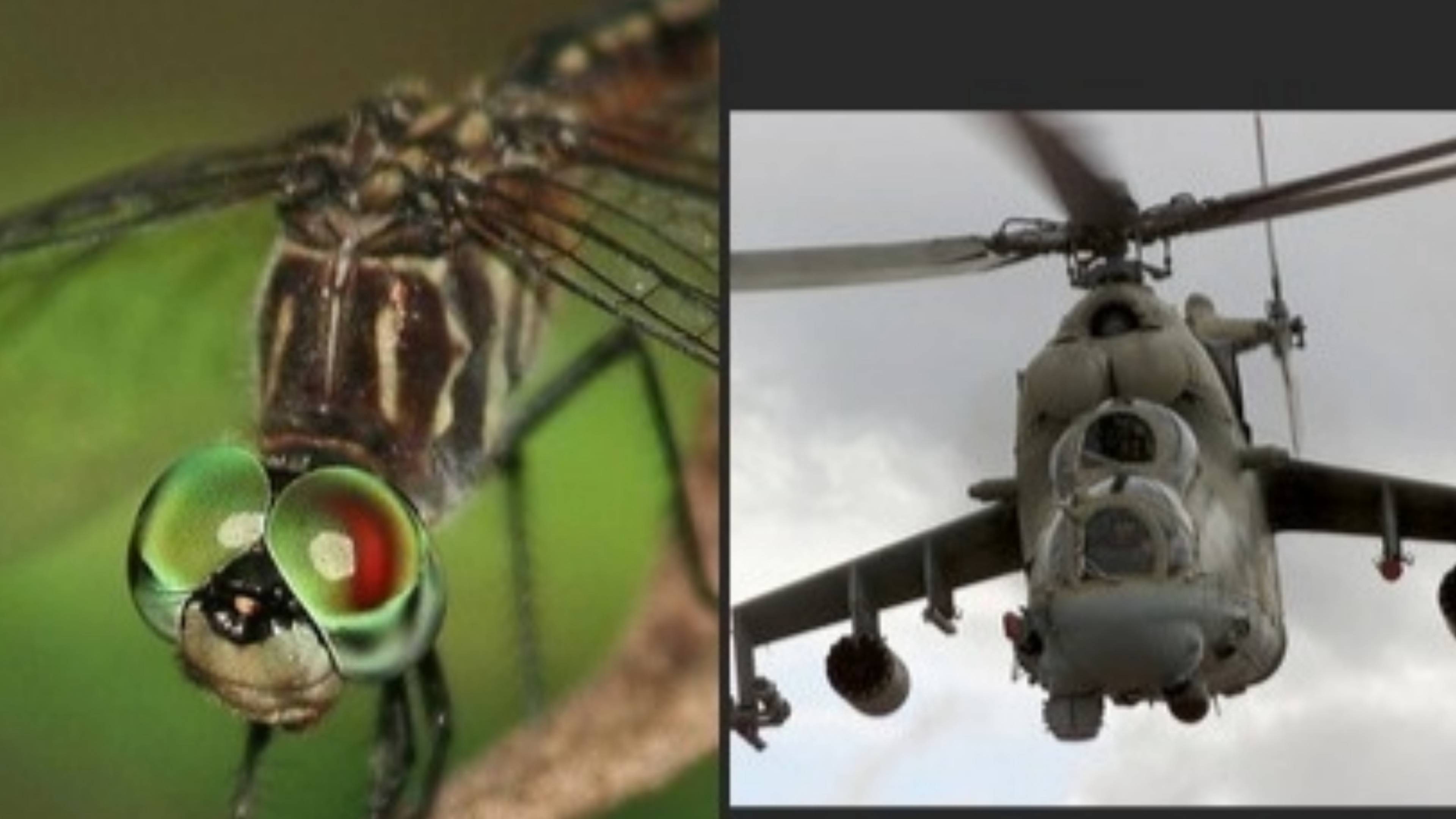 Верталëт V&S Стрекоза смотреть онлайн