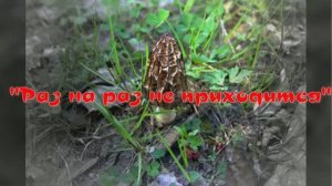 Раз на раз не приходится