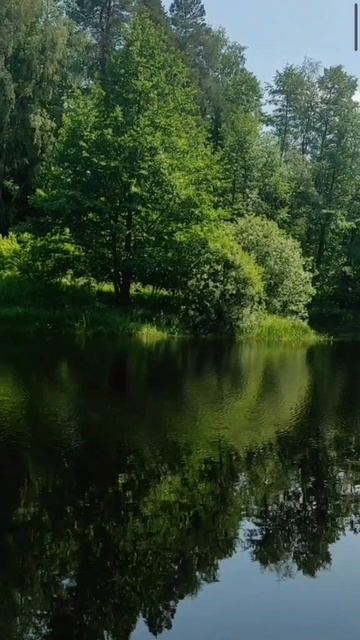 (32) Библия Евангелие от Иоанна глава 8 стих 12-20 смотреть онлайн