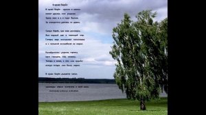 В краю берёз