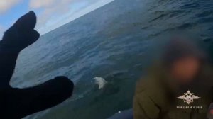 незаконная добыча янтаря