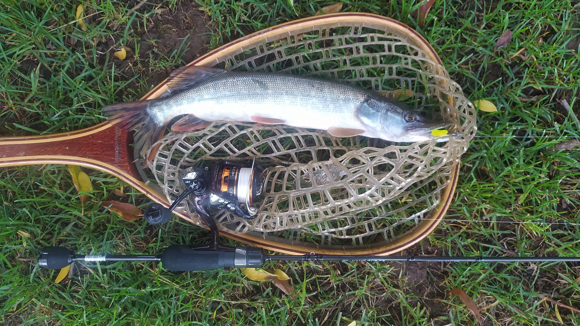 Нано-джиг. Домашний водоем, 15 июня 2025 года