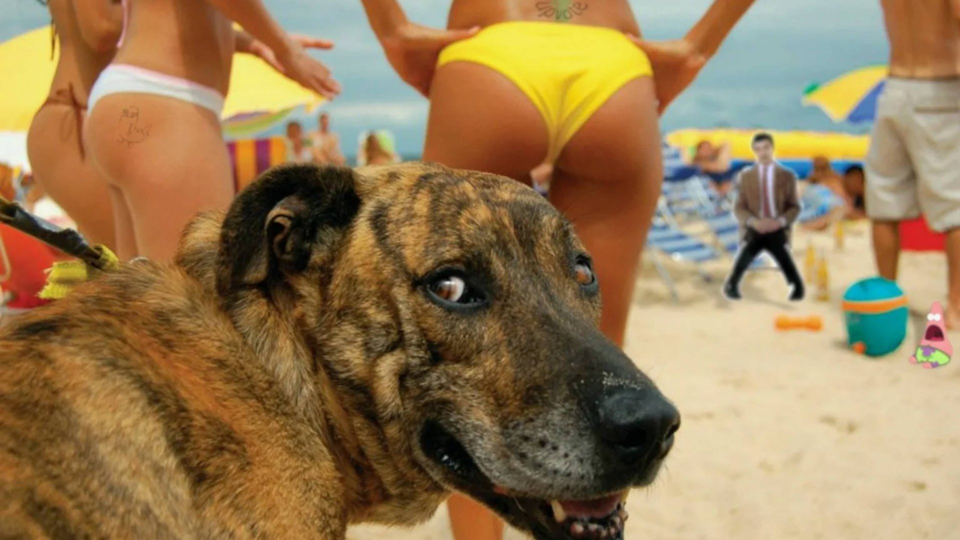 Я РЖАЛ ДО СЛЕЗ 😂 5 Минут ОТБОРНЫХ приколов 2025 Смешные видео - Лучшие ПРИКОЛЫ смотреть онлайн