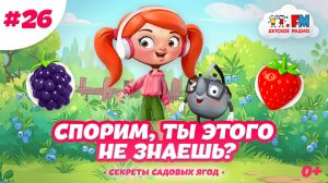 Клубника. Ежевика. Смородина. Спорим, ты этого не знаешь? #клубника #ягоды #мультик #детям