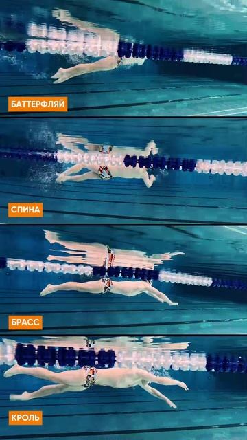 🏊А какой стиль плавания ваш любимый? смотреть онлайн