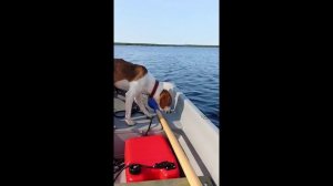 Лодка Морковка-2 на воде!  Отзыв владельца.