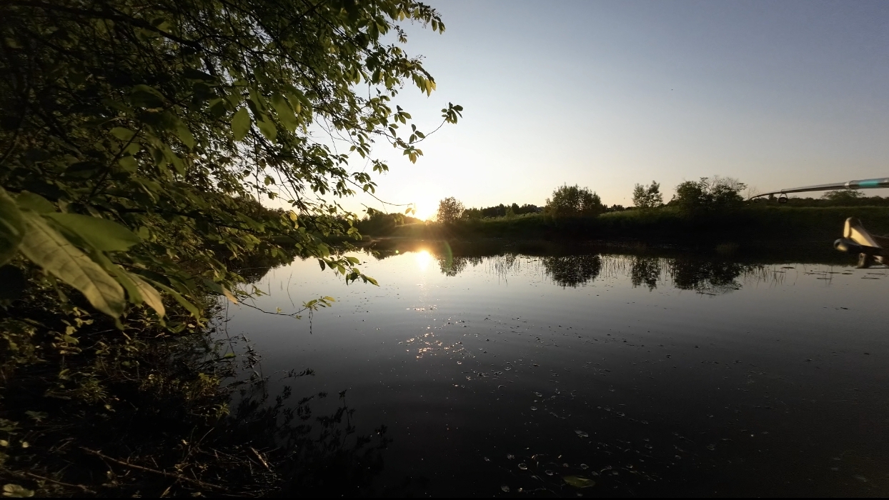 Небольшая прогулка с собакой за окунем!