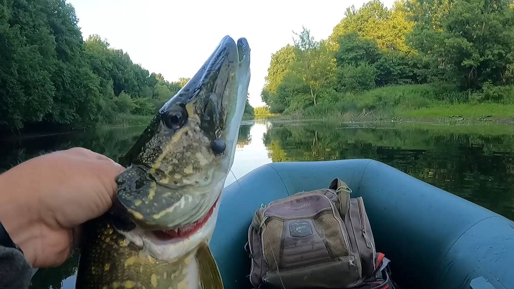 ПРОЛЕТЕЛ С ГОЛАВЛЯМИ, НО ПОЙМАЛ ЩУКУ И НАРВАЛСЯ НА СТАЮ ОКУНЕЙ! смотреть онлайн