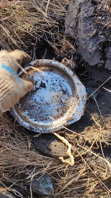 Нашел сокровище